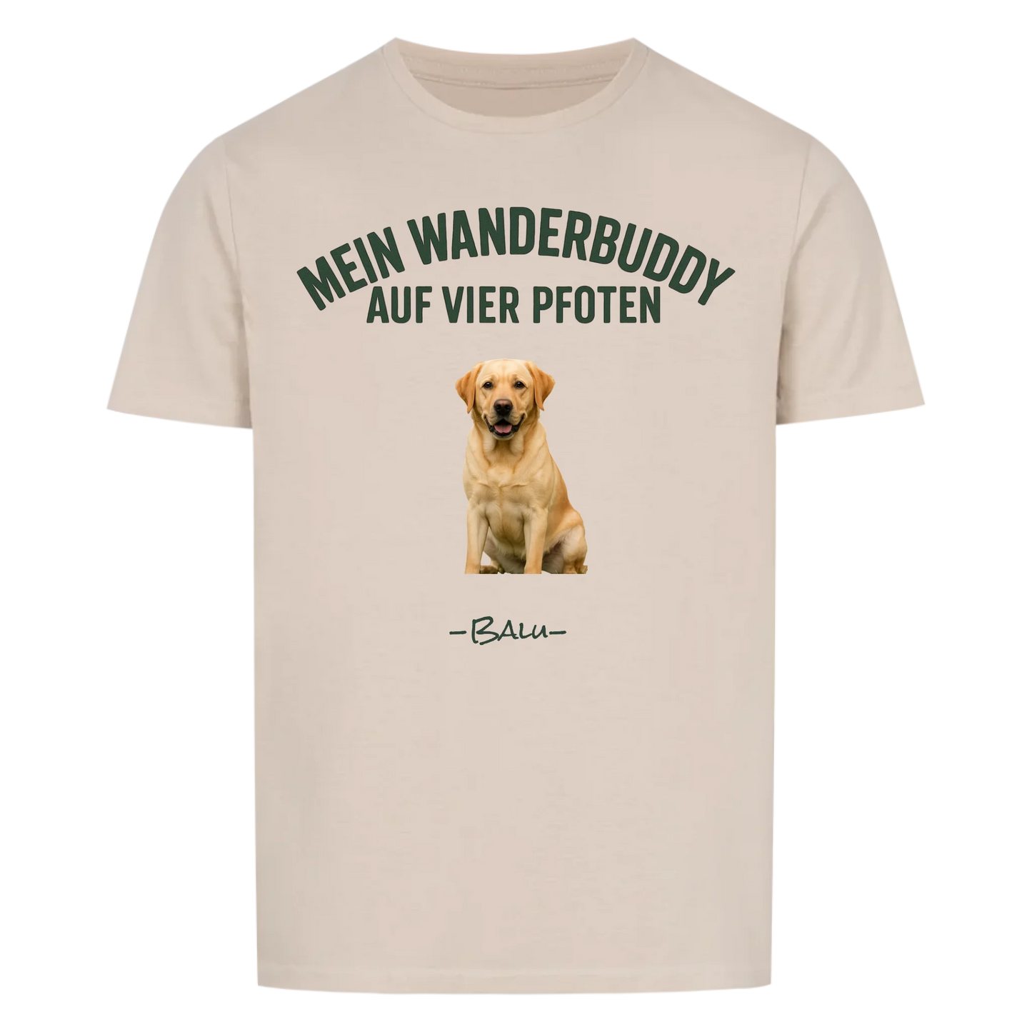 5ddbb8426bd67b35b0d4891c_front_cabfad_ed276057524a_v2